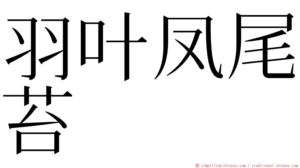 羽叶凤尾苔 ming font