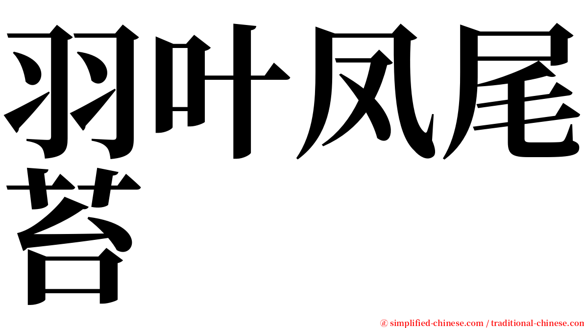 羽叶凤尾苔 serif font