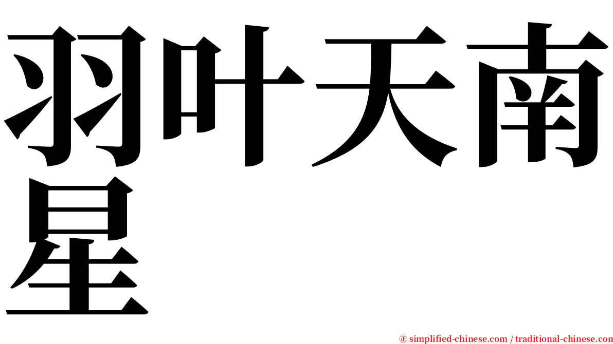 羽叶天南星 serif font