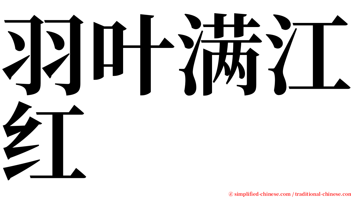 羽叶满江红 serif font