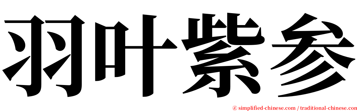 羽叶紫参 serif font