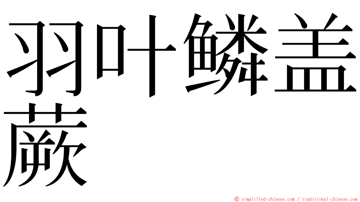 羽叶鳞盖蕨 ming font