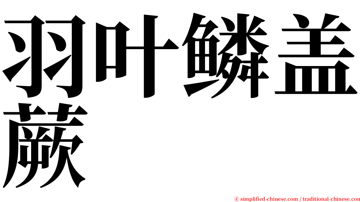 羽叶鳞盖蕨 serif font