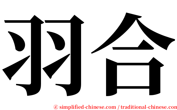 羽合 serif font