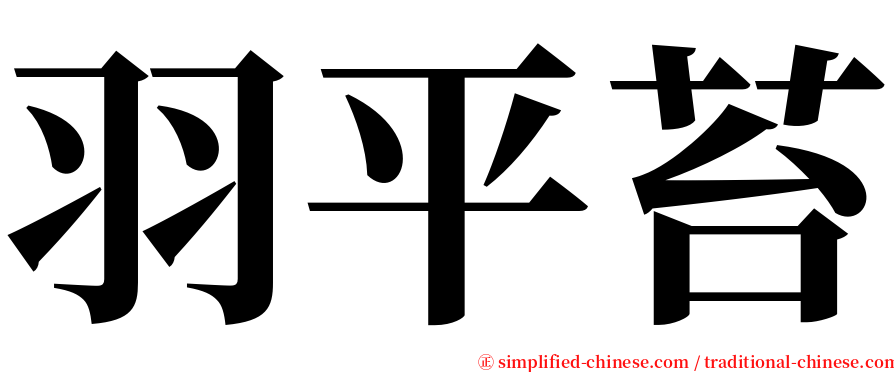 羽平苔 serif font