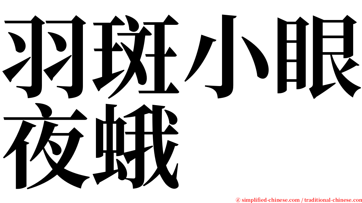 羽斑小眼夜蛾 serif font