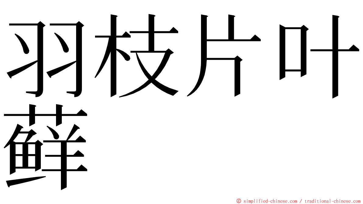 羽枝片叶藓 ming font