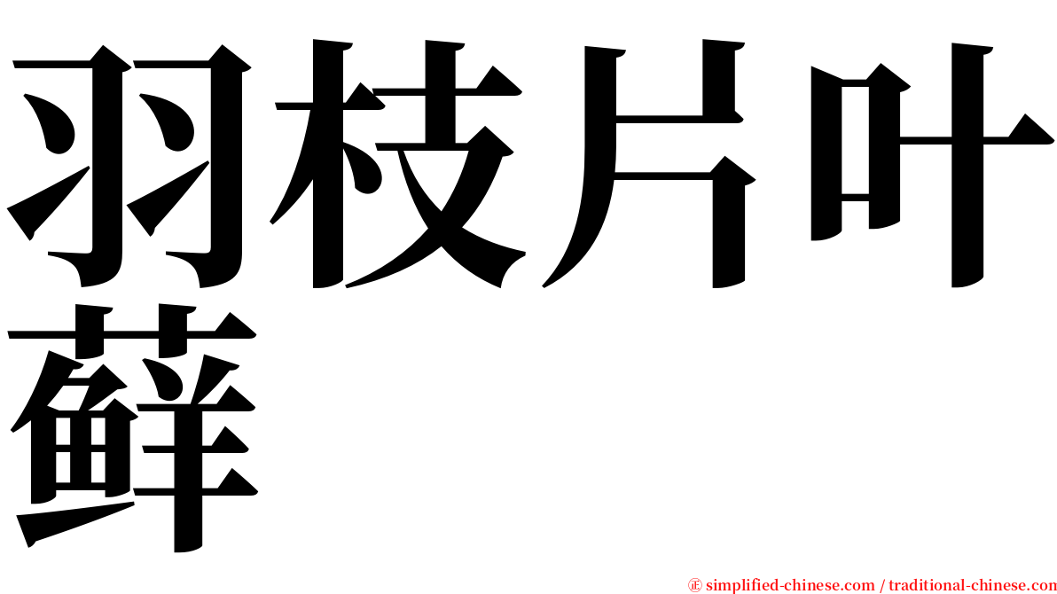 羽枝片叶藓 serif font