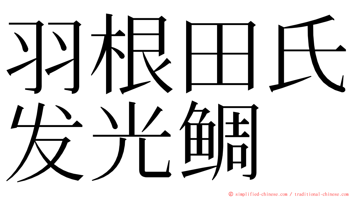 羽根田氏发光鲷 ming font