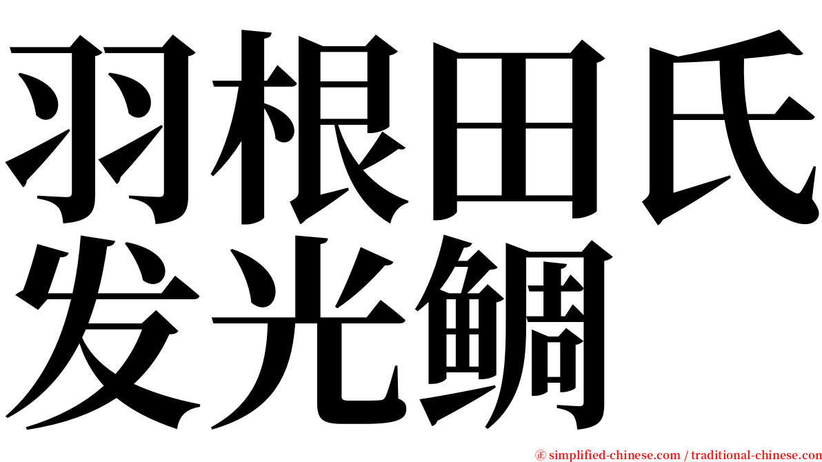 羽根田氏发光鲷 serif font