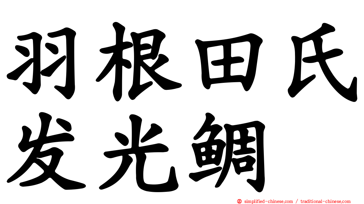 羽根田氏发光鲷