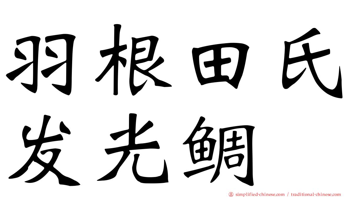 羽根田氏发光鲷