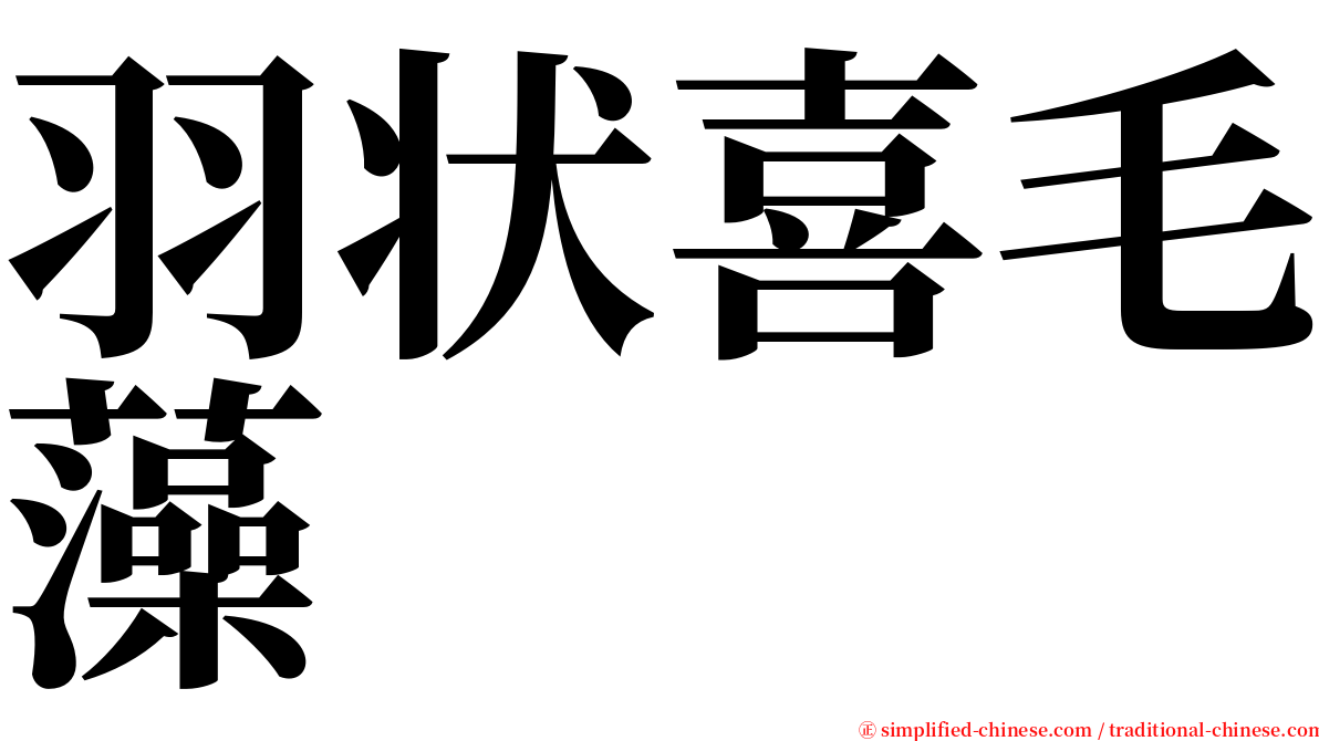 羽状喜毛藻 serif font