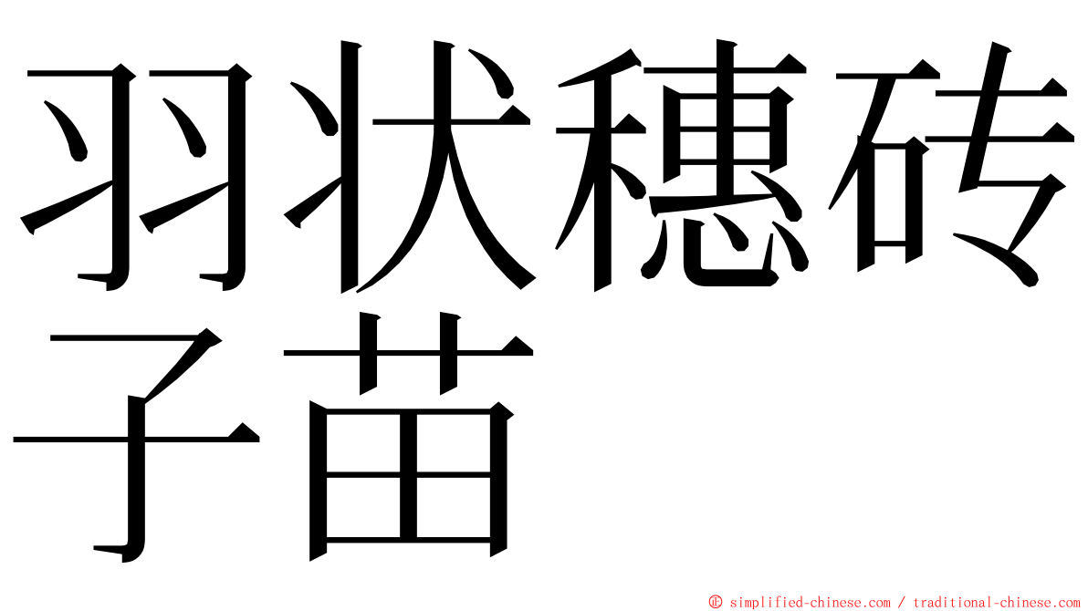 羽状穗砖子苗 ming font