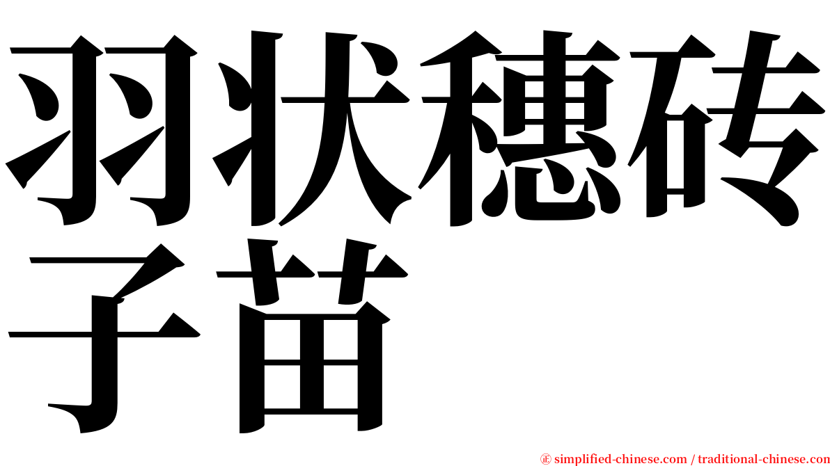 羽状穗砖子苗 serif font