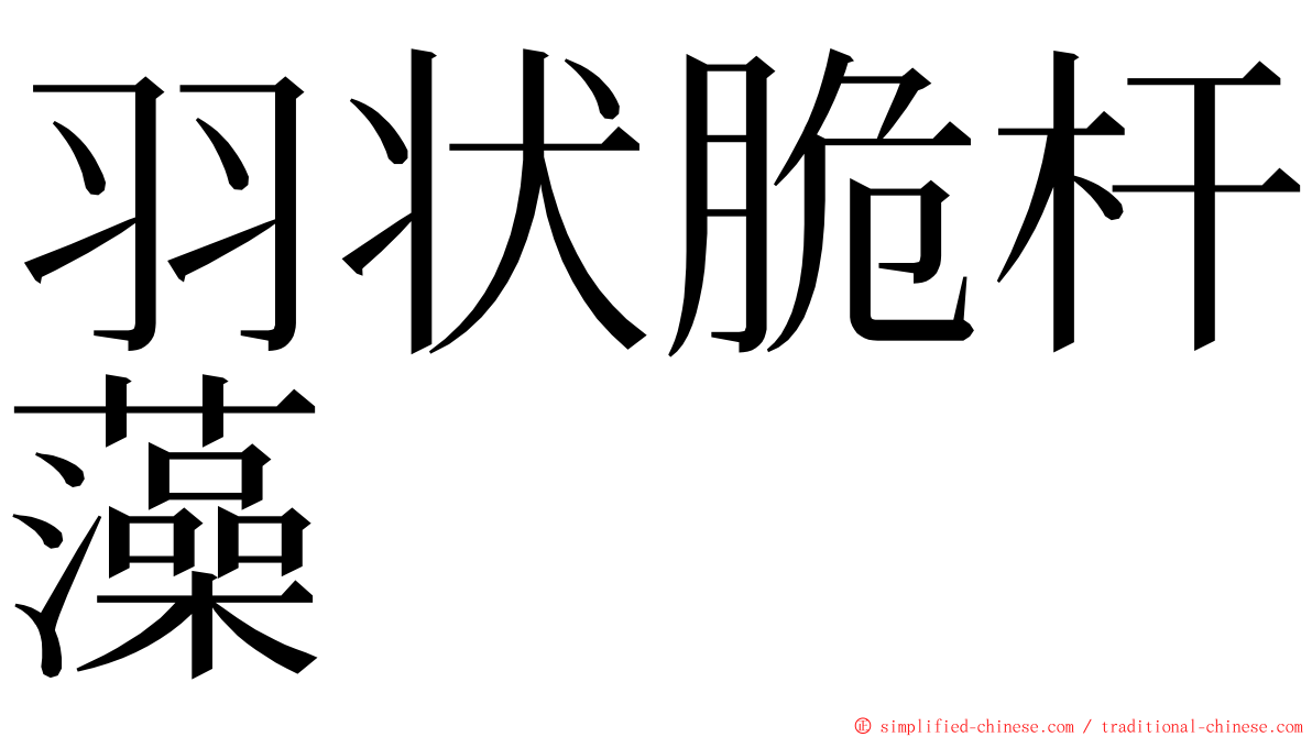 羽状脆杆藻 ming font