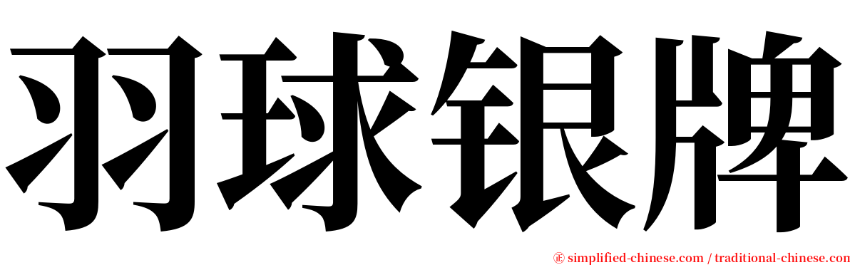 羽球银牌 serif font