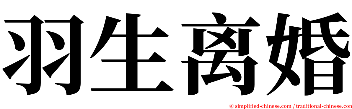 羽生离婚 serif font