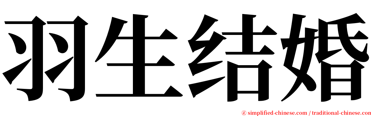 羽生结婚 serif font