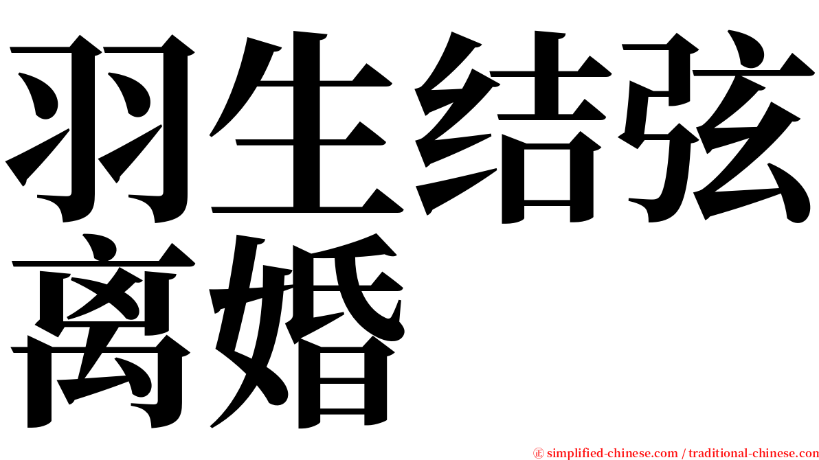 羽生结弦离婚 serif font