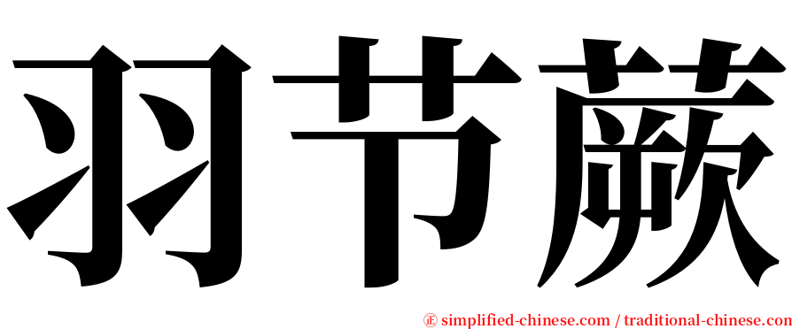 羽节蕨 serif font