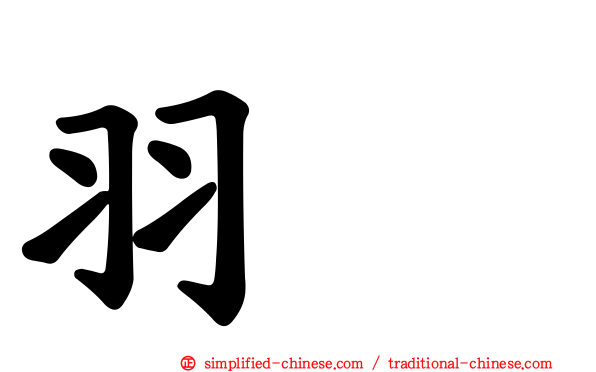 羽荮