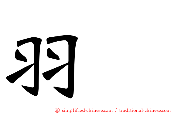羽荮