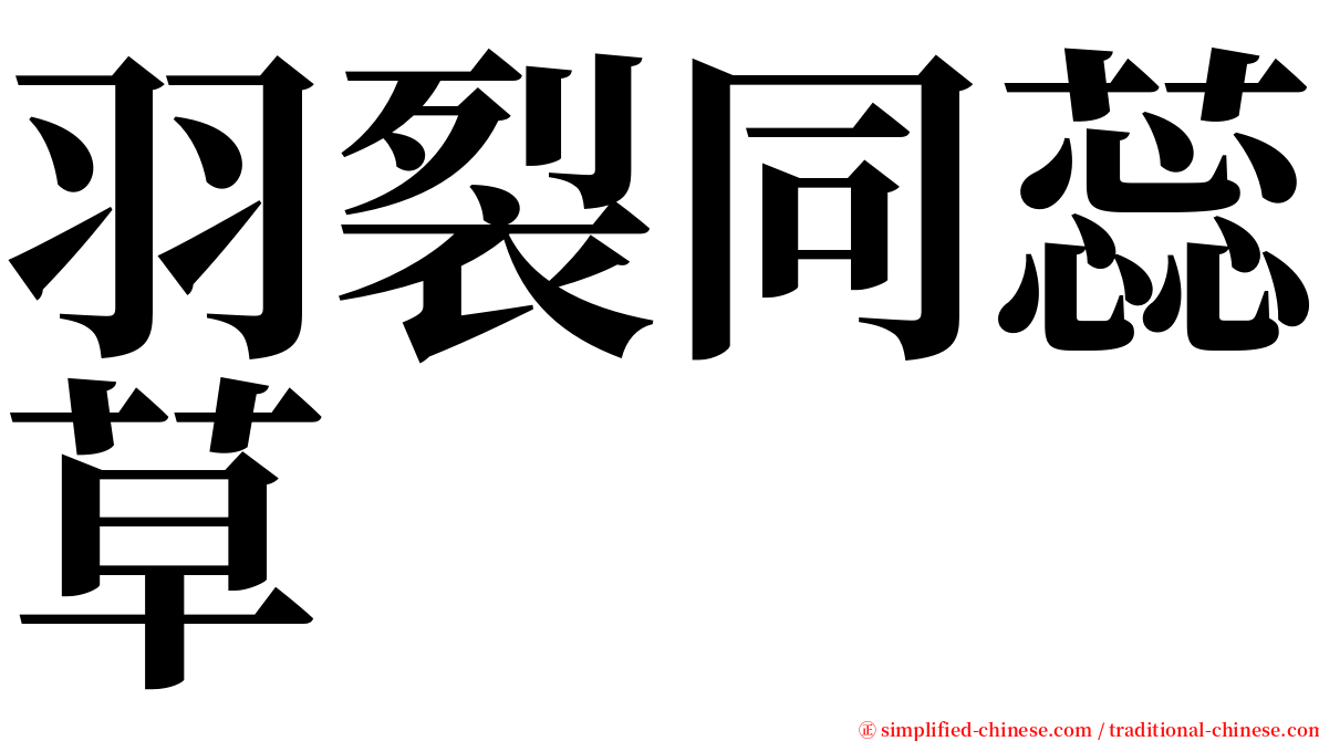 羽裂同蕊草 serif font