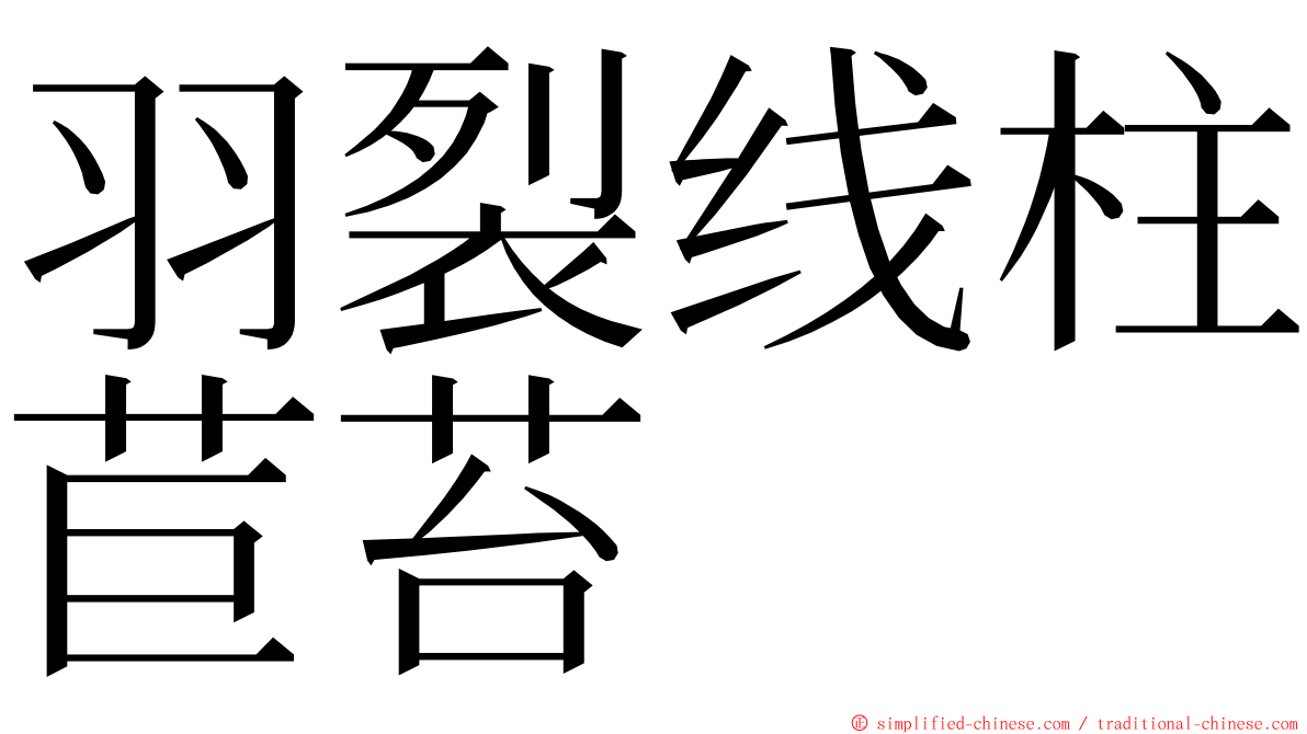 羽裂线柱苣苔 ming font