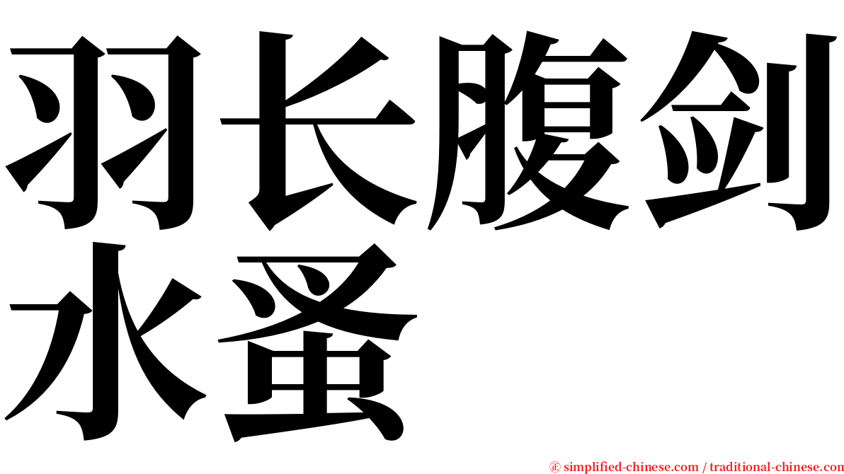 羽长腹剑水蚤 serif font