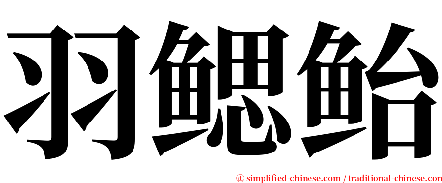 羽鳃鲐 serif font