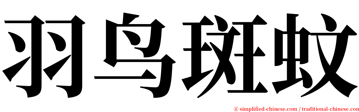 羽鸟斑蚊 serif font