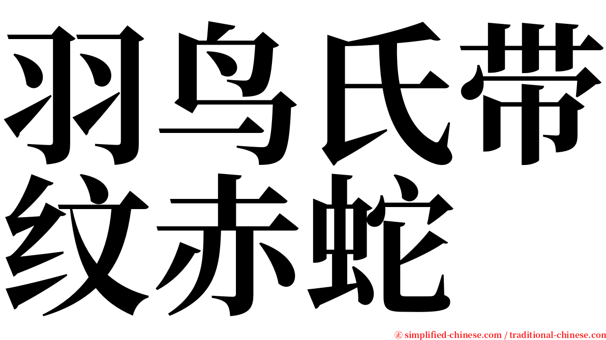 羽鸟氏带纹赤蛇 serif font