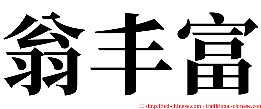 翁丰富 serif font