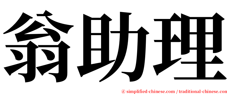 翁助理 serif font