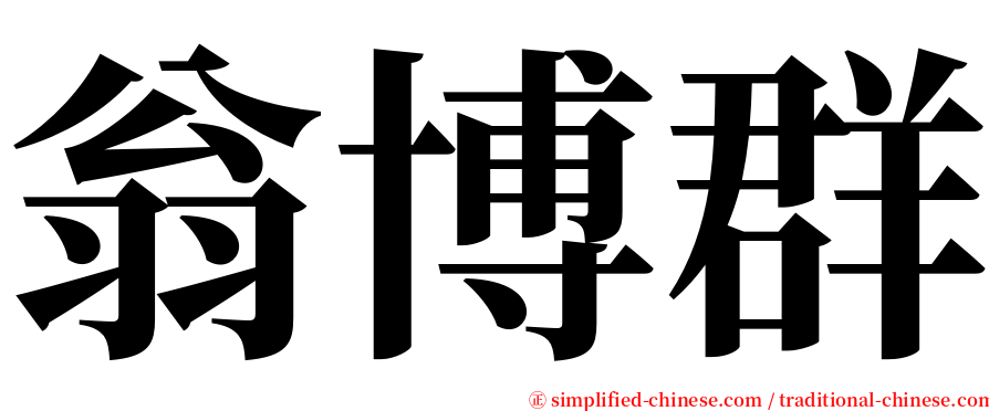 翁博群 serif font