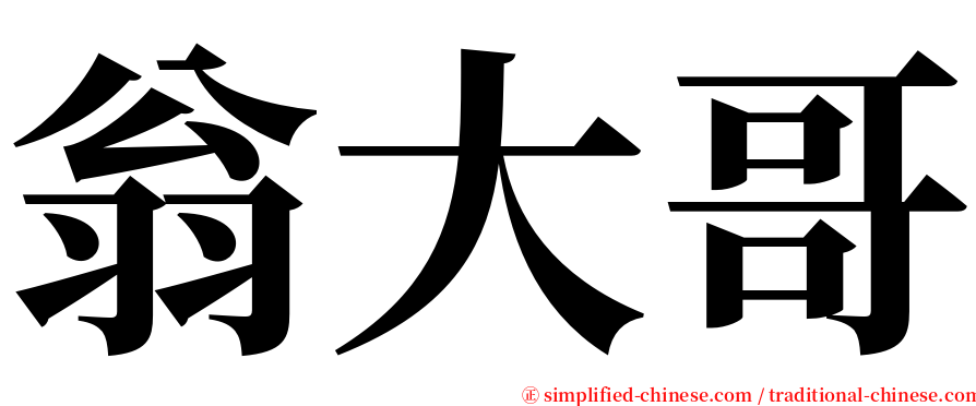 翁大哥 serif font