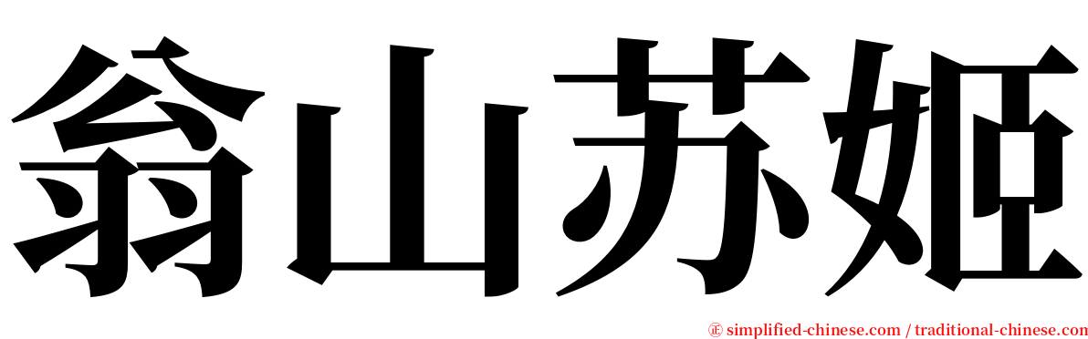 翁山苏姬 serif font