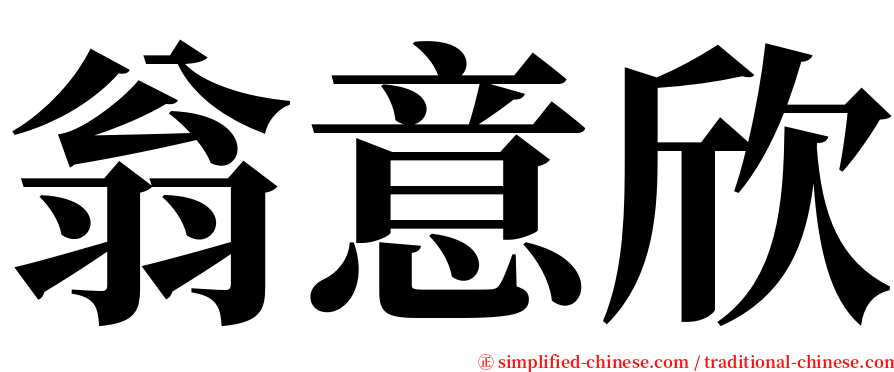 翁意欣 serif font