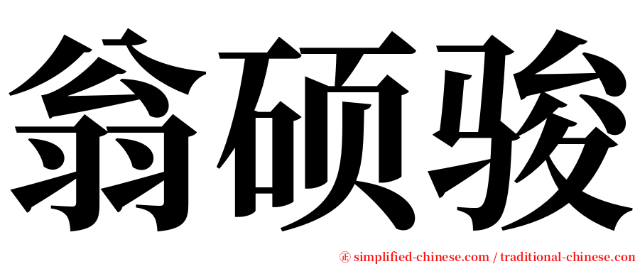 翁硕骏 serif font