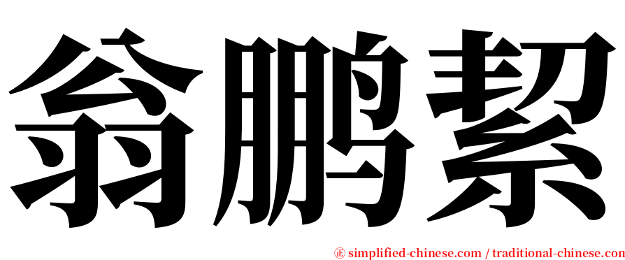 翁鹏絜 serif font