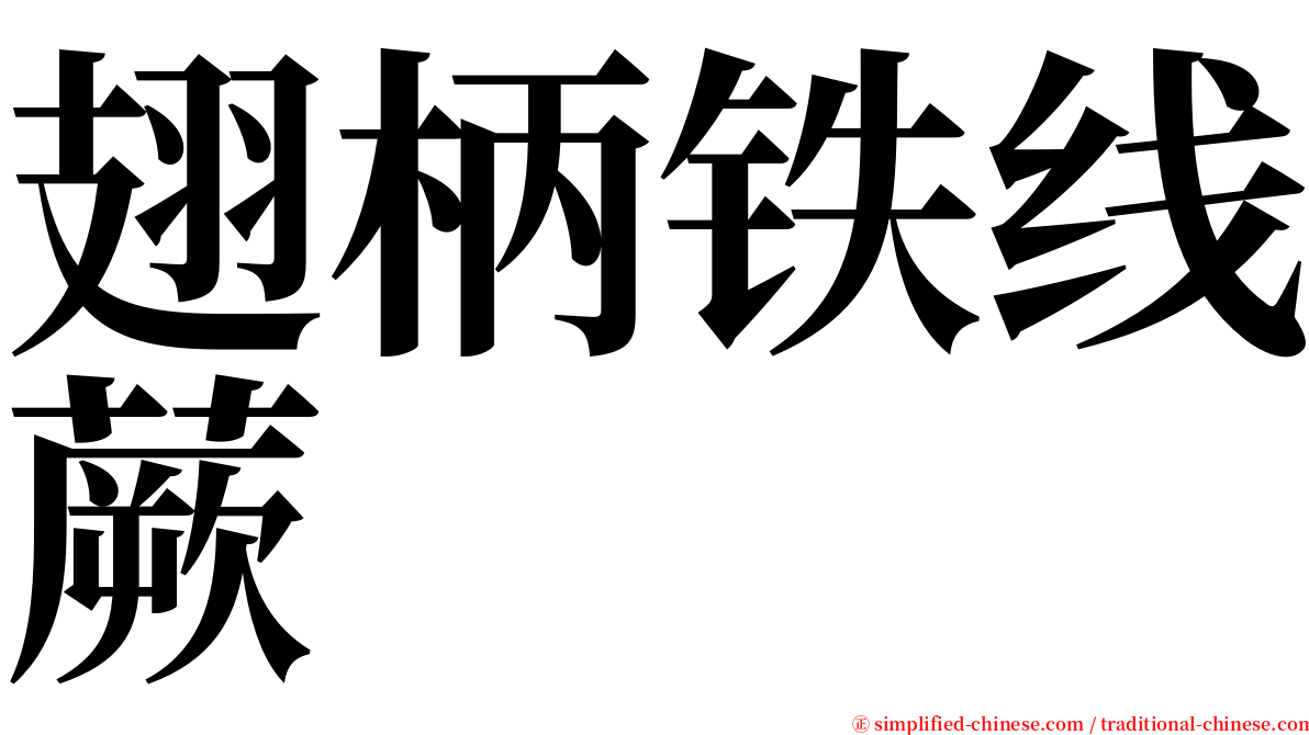 翅柄铁线蕨 serif font