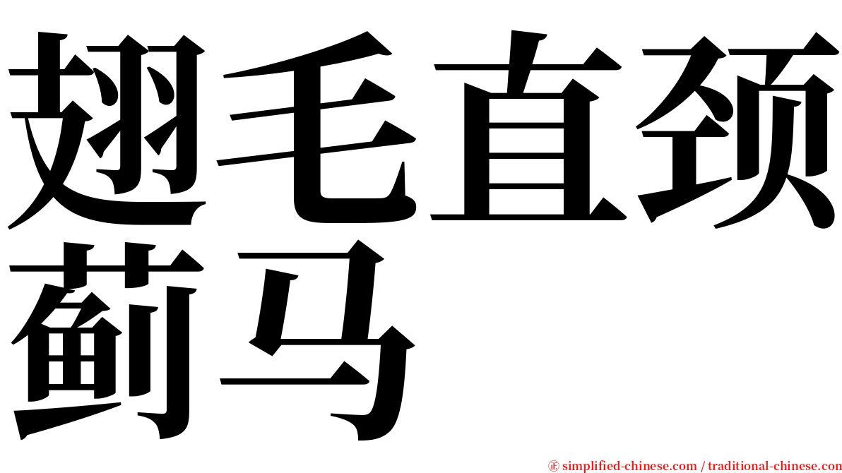 翅毛直颈蓟马 serif font