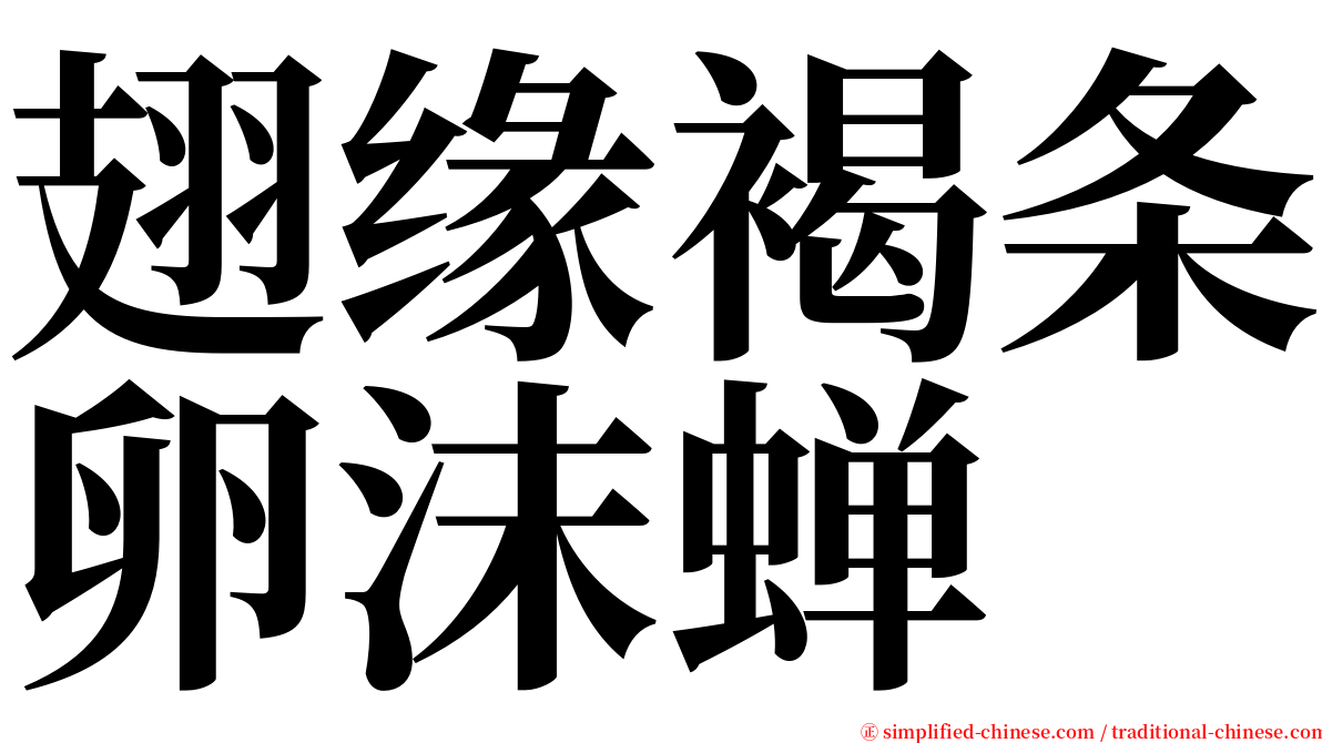 翅缘褐条卵沫蝉 serif font