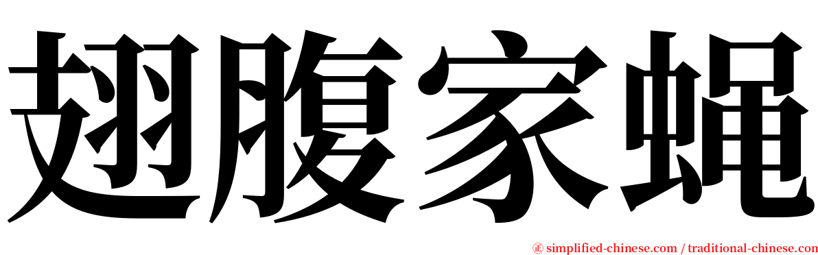 翅腹家蝇 serif font