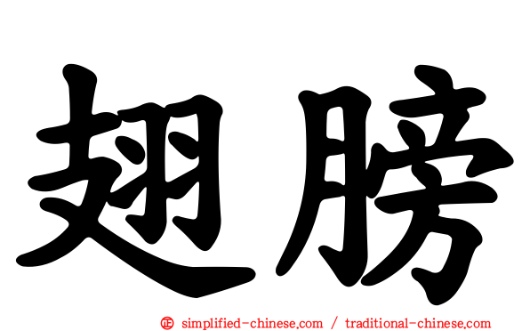 翅膀