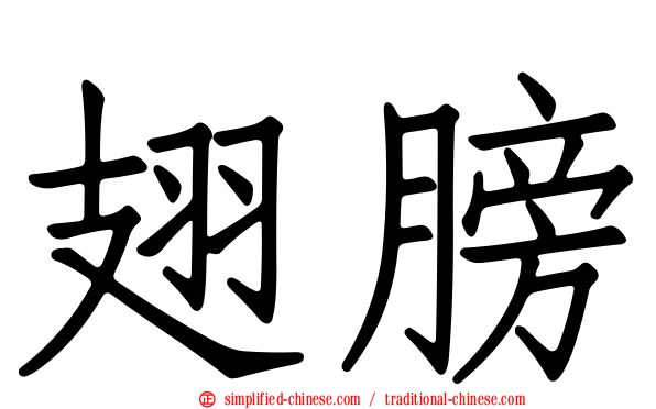 翅膀
