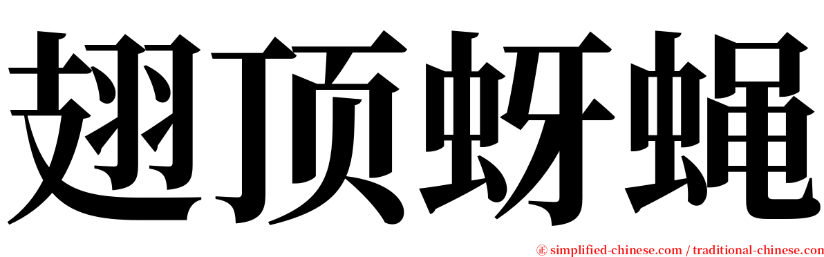 翅顶蚜蝇 serif font