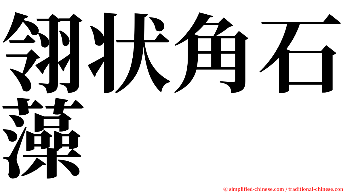 翎状角石藻 serif font