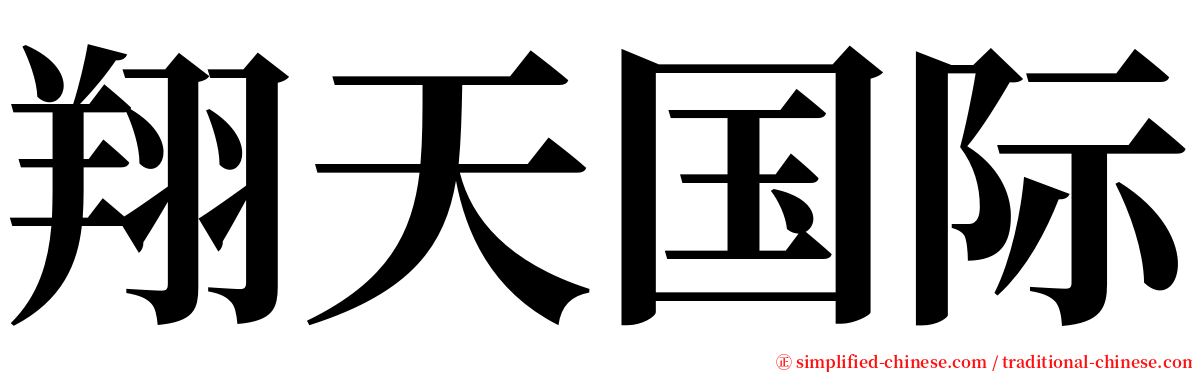 翔天国际 serif font